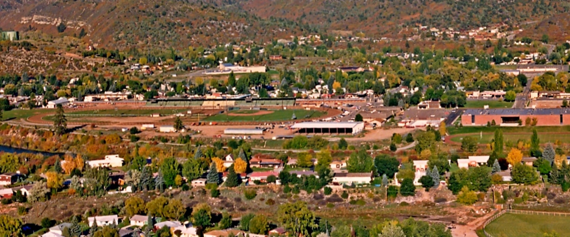 Is Lewis University a Division I School?