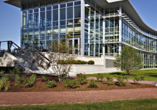 Is Lewis University the Right College for You?
