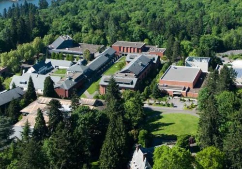 What is the Acceptance Rate at Lewis University?